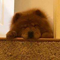 Bob Terfruchte's profile image