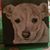 Elsie Phillip's profile image