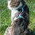 Vicki Schrader's profile image