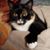 Pamela Hays Sankey's profile image