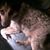 Snoopy Parks's profile image