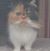 Jennine Searcy's profile image