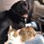 Vince N Leah Jackson's profile image
