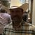 Darrell Venable Rhyne's profile image
