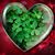 Susan Lawlor's profile image