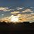 Donna Thorson-Cooler's profile image