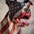 Travis Grow's profile image