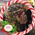 Margaret Rebisz-Koutsouris's profile image