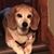 Maggie May's profile image