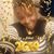 Venustine Gottaloveme Knight's profile image