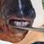 Nate Nimocks's profile image