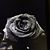 Takita Stuart-Frazier's profile image