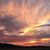 Vicki Wanner Lund's profile image