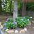 Rebecca Brown Chitwood's profile image