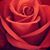 Jenny Donegan's profile image