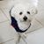 Gina Nowak Grzelka's profile image