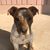 Maria Cates's profile image
