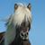 Samantha K. Johnson's profile image