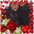 Sandra Amanda Hamlin's profile image