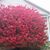 Sherri Fisher-DeLap's profile image