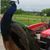Marsha Strayer Hawkins's profile image