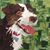Jane Stump's profile image