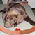 Judy Cox Johnson's profile image