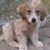 Mary Carder Holloway's profile image