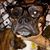 Billie Williams's profile image