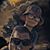 Brody Jay Hart's profile image