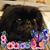 Pat Ehrhardt's profile image