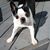 Mary Lou Miller-Triggiani Rothwell's profile image