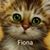 Fiona Hope's profile image