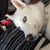 Janet Allinson's profile image