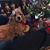 Carol Cooley's profile image