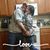 Lindy Marczewski's profile image