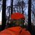 Tracy Plaskey's profile image