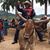 Matheus Ferreira's profile image