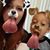 Kaitlyn Ferguson's profile image