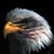 Gordon Locke's profile image