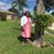 Brenda Missy Lampkin-Tolbert's profile image