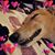 Robin Lane's profile image