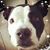 Judy Meinhold's profile image