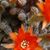 Annette Tunnell's profile image