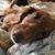 Michelle Hoppe's profile image