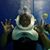 Cindy McDaniel Terry's profile image