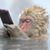 Robert Saville's profile image