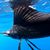 Mark Coomber's profile image