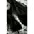 Daisy Campuzano's profile image