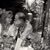 Tammy Williams Pierce's profile image